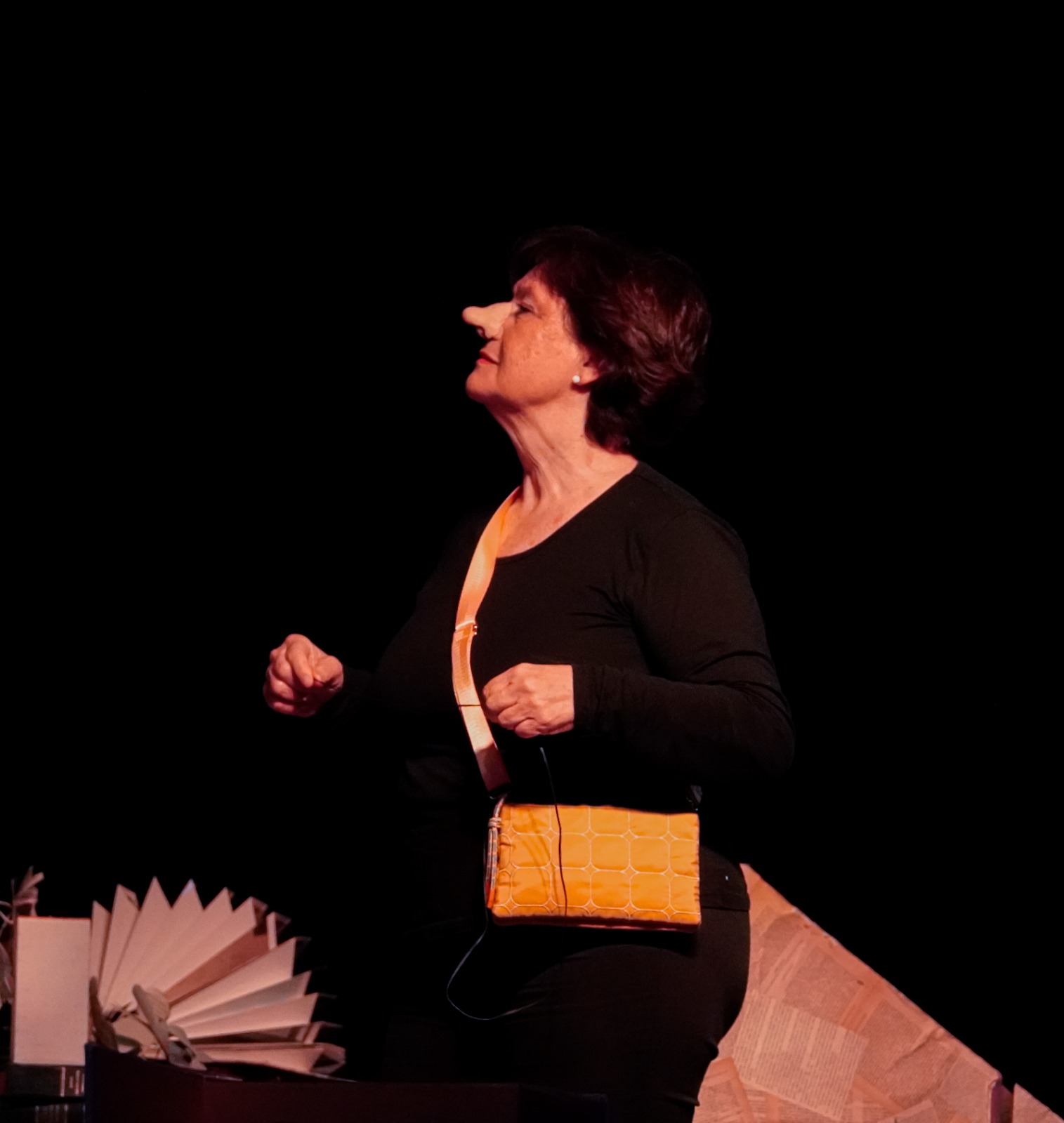 Luc&iacute;a Cruz, actriz